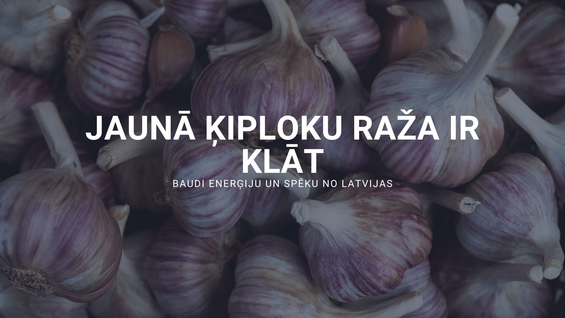 svaigi latvijas ķiploki